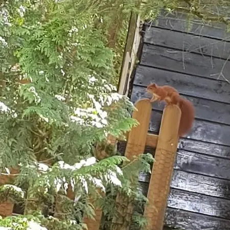 Apartament Mooi Met Grote Tuin Op 4 Sterren Park.