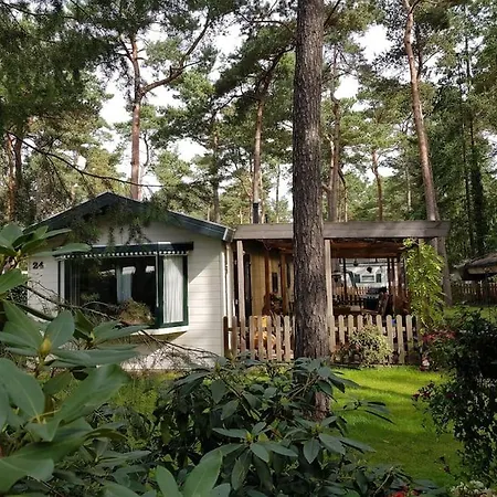 Mooi Met Grote Tuin Op 4 Sterren Park. * Doornspijk