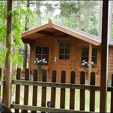 Mooi Met Grote Tuin Op 4 Sterren Park. * Doornspijk