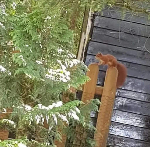 Lägenhet Mooi Met Grote Tuin Op 4 Sterren Park.