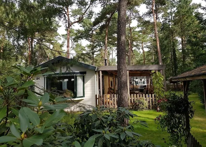 Mooi Met Grote Tuin Op 4 Sterren Park. * Doornspijk