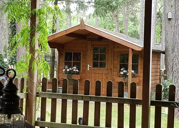 Mooi Met Grote Tuin Op 4 Sterren Park. * Doornspijk